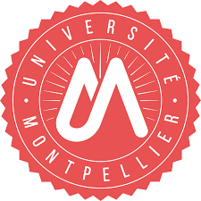 Montpellier Universiteti ilə ikili diplom proqramı 